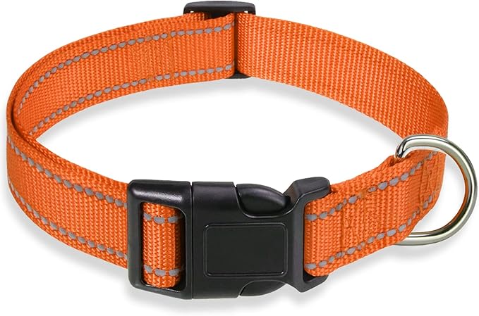 Reflective Dog Collar with Buckle Adjustable Safety Nylon Collars for Small Medium Large Dogs, Orange XS