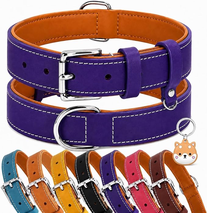 Genuine Leather Dog Collar, Soft Padded Leather Dog Collars with Airtag Holder Case for Small Medium Large X-Large Dogs,Comfort Heavy Duty Pet Collar with Durable Metal Buckle & D-Ring-Dark Purple/XL