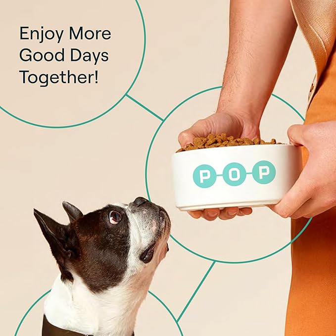 POP-Topper Dog Food Meal Toppers – Multivitamin Powder for Dogs 35 lbs & Up - Delicious Bone Broth Base with 6 Human-Grade Superfoods - Supports Joints, Gut, Skin & Coat - 30 Packets