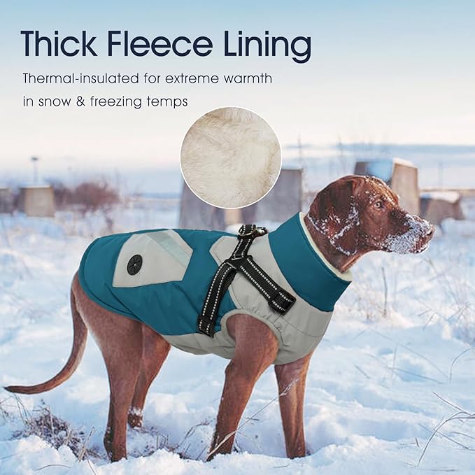 IECOii Dog Winter Coat Waterproof - Dog Coat with Harness Built in for Medium Dogs,Thermal Warm Fleece Lined with Zip Up Cold Weather Jacket,Reflective Snowsuit for Outdoor, Turquoise Green,M