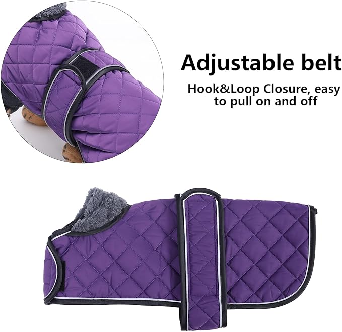 Dachshund Coat Dog Coats for Dachshunds Dachshund Winter Jacket with Padded Fleece Outdoor Dog Clothes with Adjustable Bands - Purple - XS