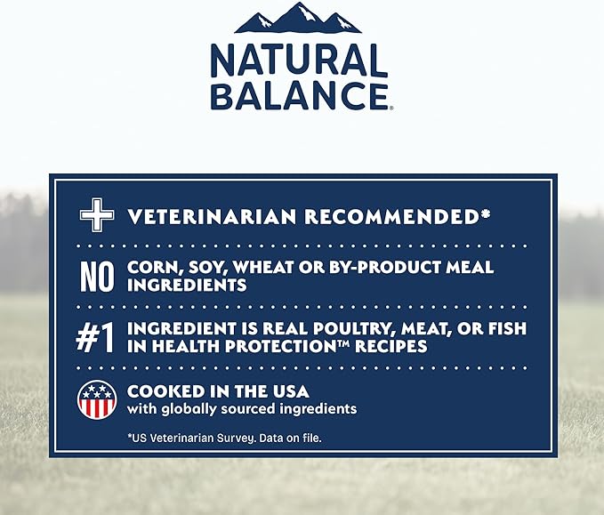 Natural Balance Health Protection Small Breed Dry Dog Food – Whole Body Health, Easy on Digestion Dog Food Made with Chicken, Brown Rice & Pumpkin for Dogs - 12lbs.