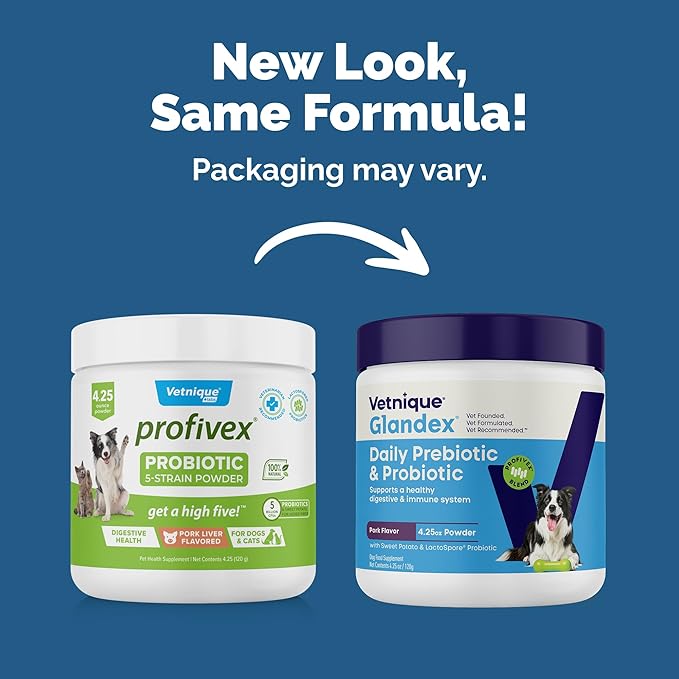 Vetnique Glandex Daily Probiotics for Dogs with Prebiotics to Support Gut Health with Fiber and Digestive Enzymes, Probiotic Chews or Powders (4.25oz Powder, Pork Powder)