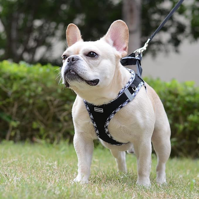 Mercano Soft Mesh Dog Harness and Leash Set, No-Chock Step-in Reflective Breathable Lightweight Easy Walk Vest Harnesses with Safety Buckle for Small Dogs, Cats (Black White, XS)