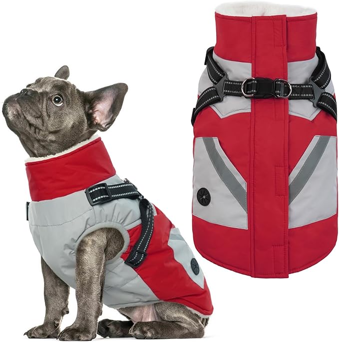 IECOii Dog Winter Coat Waterproof - Red, Medium - Dog Coat with Harness Built in for Medium Dogs, Thermal Warm Fleece Lined with Zip Up Cold Weather Jacket, Reflective Snowsuit for Outdoor Hiking