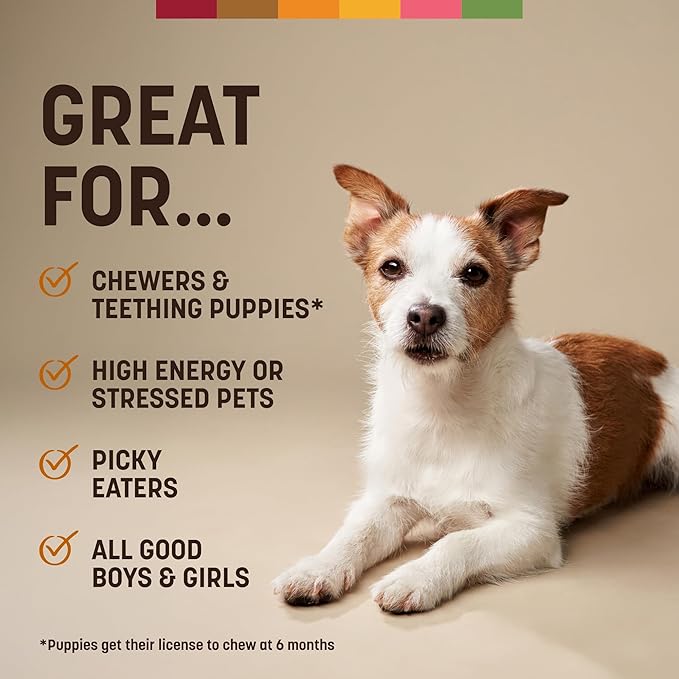 Earth Animal No Hide Chews - Long Lasting Rawhide Free Small Dog Chews Rolls, Chicken - 6 Count
