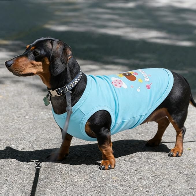 3 Pack XSmall Birthday Print Dog Shirt,Lightweight Sleeveless Vest,Puppy Party Clothes Indoor Wear,Soft Breathable for Sensitive Skin,Free Movement (Pink & Blue,XS)