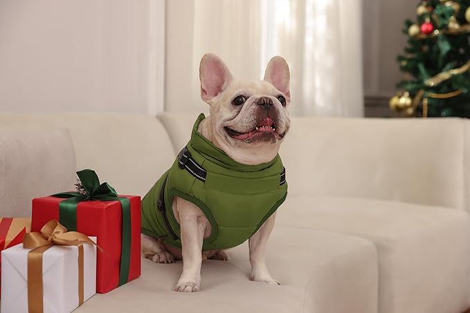 Aiboria Dog Jackets for Winter Windproof Waterproof 2 in 1 Outfit Cold Weather Coat Dog Vest Harness Puppy Winter Warm Jacket Green M