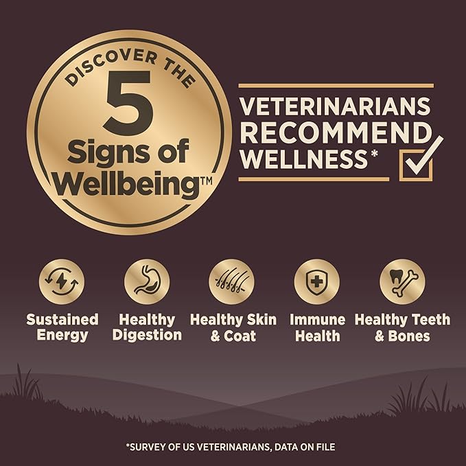 Wellness Natural Pet Food Wellness CORE Wholesome Grains Original Recipe, 24 Pound Bag