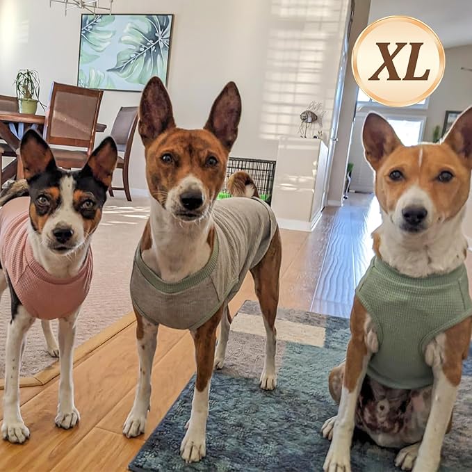 KYEESE 2Pack Dog Shirts Waffle for Small Dogs Stretchy Pet T-Shirts Lightweight Dog Tank Top Sleeveless Dogs Vest Breathable, X-Large, Blue+Grey