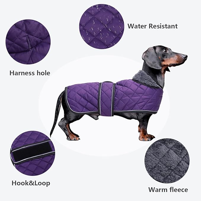 Dachshund Coat Dog Coats for Dachshunds Dachshund Winter Jacket with Padded Fleece Outdoor Dog Clothes with Adjustable Bands - Purple - XS