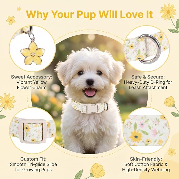 Dog Collar, Unique Floral Dog Collar Girl, Spring Summer Design Pet Collar with Cute Charm, Quick Release Buckle and Durable Fabric, Suitable for Small, Medium and Large Dogs
