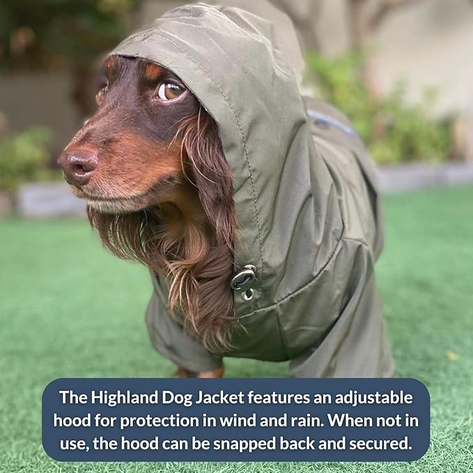 DJANGO Highland Dog Jacket & Raincoat – Water-Repellent, Lined Dog Coat with Hood, Adjustable Fit & Harness Hole – Lightweight Rain & Wind Jacket for Small & Medium Dogs up to 30 lbs (Blue, Large)