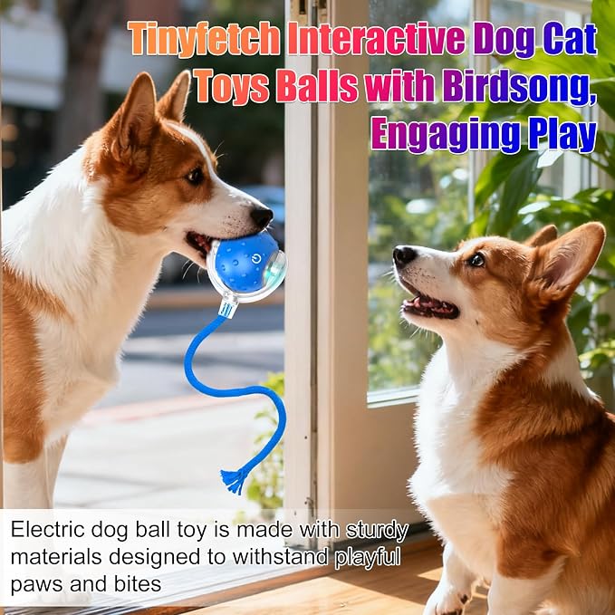 2Pcs Dog Toy, Interactive Dog Cat Toys Balls with Birdsong, Rechargeable 360° Smart Automatic Rolling Electric Dog Ball Toy with Rope for Pets Indoor & Outdoor Play (Red+Blue)