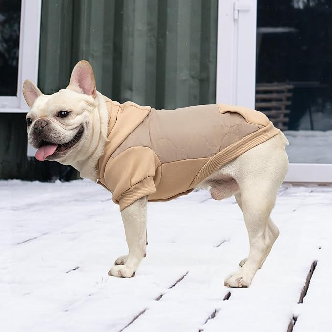 KOOLTAIL Dog Winter Coat for Small Medium Dogs, Waterproof&Windproof Puppy Jacket with Leash Hole, Warm Winter Cold Weather Pet Vest Hoodie Sweater Sweatshirt Clothes for Cats Girls Boys, Beige SM