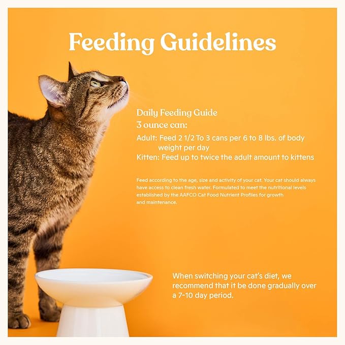Made by Nacho Flaked Filets Recipe in Bone Broth, Grain-Free Chef's Selects Wet Food for Cats Balanced Diet in Naturally Hydrating Pumpkin-Infused Broth (3.0 oz (Pack of 12), Tuna & Rainbow Trout)