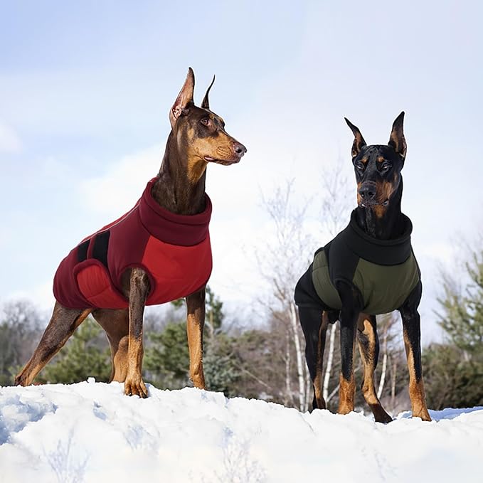 Kuoser Large Dog Coat, Winter Waterproof Dog Jackets for Large Dogs, Reflective Doggie Vest with Leash Hole, Cold Weather Coats Pet Snow Jacket for Labrador Beagle, Green XXL