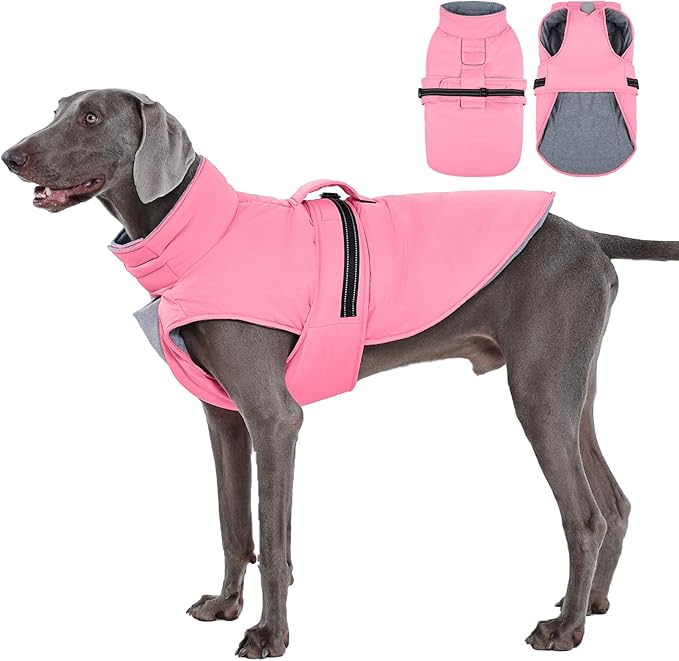 IECOii Dog Coat Reflective Cold Weather Jackets Adjustable Snow Jacket for Walks Water-Resistant Warm Vests Windproof Winter Fleece Vest Jacket for Labrador Golden Retriever Doberman, Orange, Size 3XL