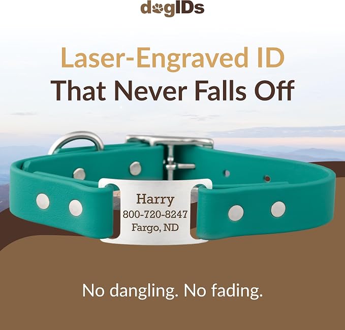 DogIDs ScruffTag Personalized Waterproof Dog Collar, Made in USA - Soft Grip Biothane, Adjustable, Odor Resistant, Custom Laser Engraved Name Plate - Teal, 3/4 in x 14 in (Fits Neck Sizes 12-16 in)
