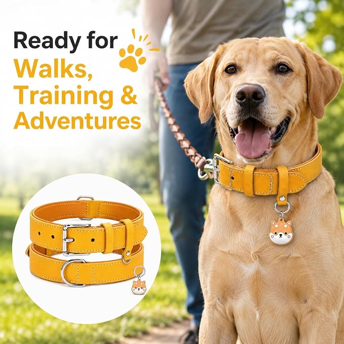 Genuine Leather Dog Collar, Soft Padded Leather Dog Collars with Airtag Holder Case for Small Medium Large X-Large Dogs,Comfort Heavy Duty Pet Collar with Durable Metal Buckle & D-Ring-Light Yellow/M