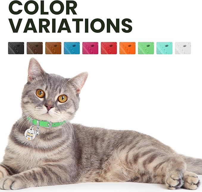 BRONZEDOG Leather Cat Collar with Removable Bells Non Breakaway Kitten QR Tag for Girl Boy (7" - 9" for Cats, Green & Silver)