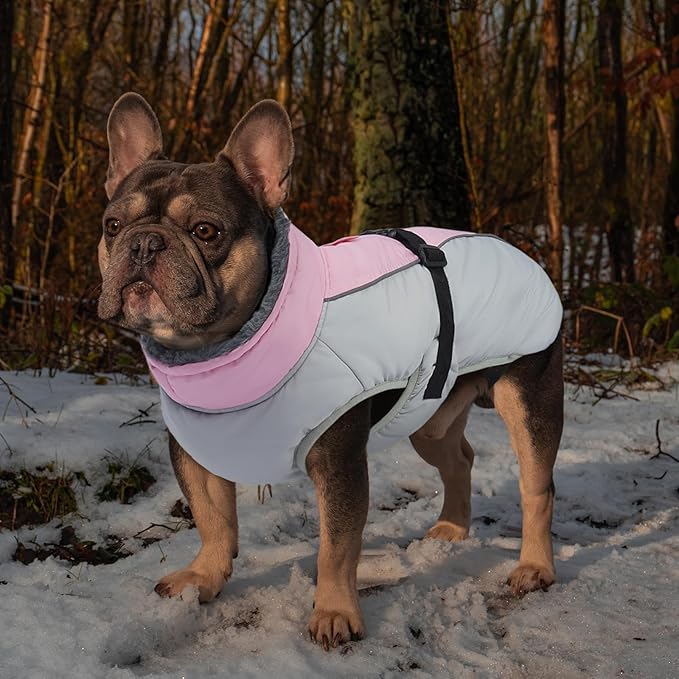 IECOii Extra Warm Dog Coat for Medium Dogs, Waterproof & Windproof Dog Jackets with Leash Hole, Adjustable Turtleneck Dog Winter Coat Reflectvie Pet Fleece Vest for Cold Weather, Pink, M