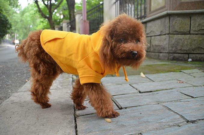 Lovelonglong Blank Basic Hoodie Sweatshirt for Dogs 100% Cotton Fits Small Medium Dachshund Large Dog Orange D-M