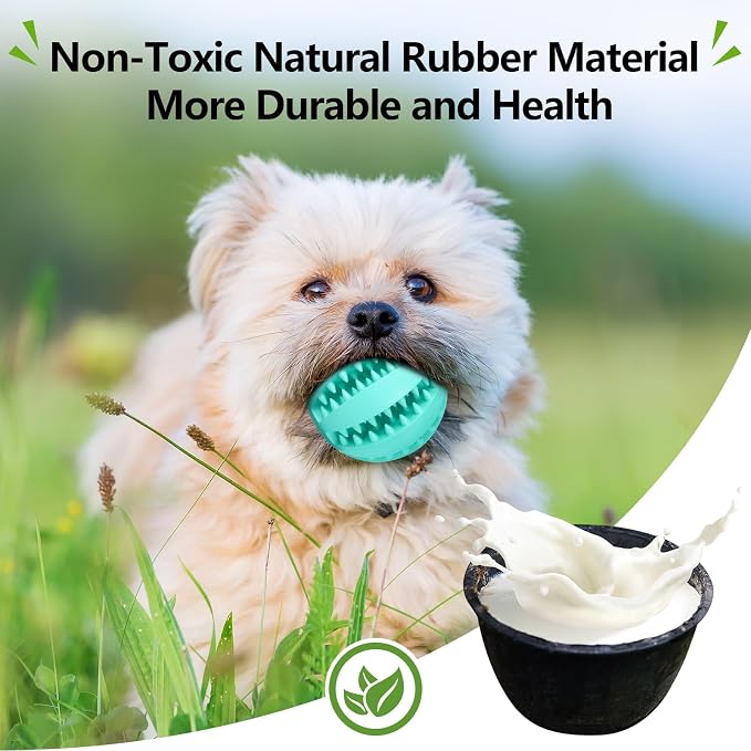 Puppy Chew Toys for Teething: 2Pack Dog Balls for Small Breed