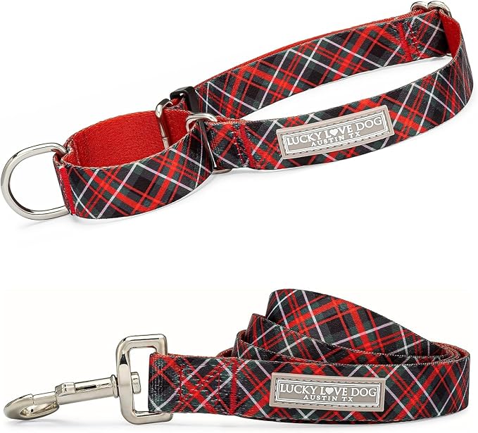 Lucky Love Dog Martingale Collar & Leash Set No Slip Cute – Heywood, Medium