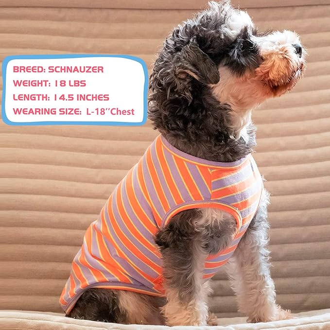 KYEESE 2Pack Dog Shirt, Soft Striped Dogs T Shirts, Lightweight Doggie Tank Top Cat Clothes, Sleeveless Dog Shirt for Small Dogs, Stretchy Pet Vest, Purple+Orange Striped, Medium