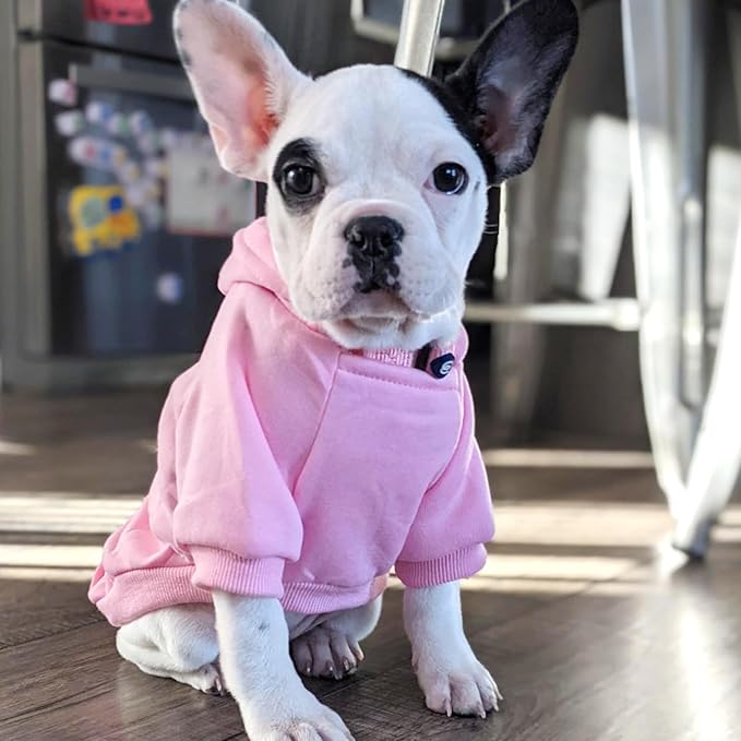 Jecikelon Winter Dog Hoodie Sweatshirts with Pockets Warm Dog Clothes for Small Dogs Chihuahua Coat Clothing Puppy Cat Custume (Pink, XX-Small)