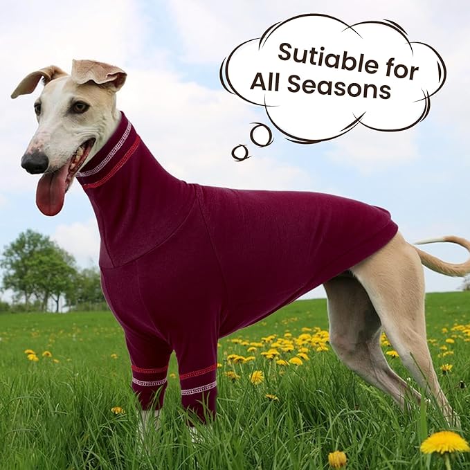 Greyhound Dog Sweater, Italian Greyhound Coat for Large Dogs, Whippet Pullover Turtleneck Stretchy Knit Sweatshirt, Greyhound Thermal Clothes Pajamas Sighthounds Jumpsuit for Cold Weather XL