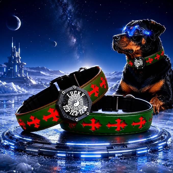 Light Up Glow Dog Collar with Chinese Style AirTag Holder,