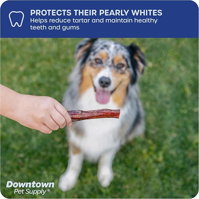 Downtown Pet Supply USA Sourced Bully Sticks for Dogs - Grass-fed Beef Chews, Low-Odor & Rawhide-Free, Long Lasting Dog Treats for Heavy Chewers - Healthy, Safe & Delicious Chews (6" 30 Pack)