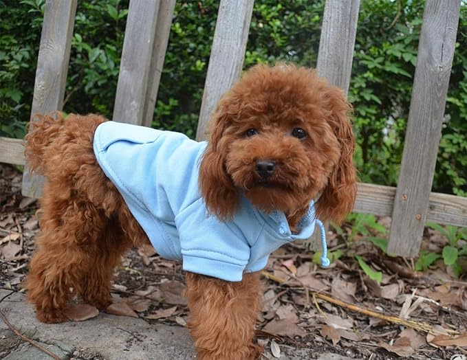 Lovelonglong Blank Basic Hoodie Sweatshirt for Dogs 100% Cotton Fits Small Medium Dachshund Large Dog Sky-Blue XS