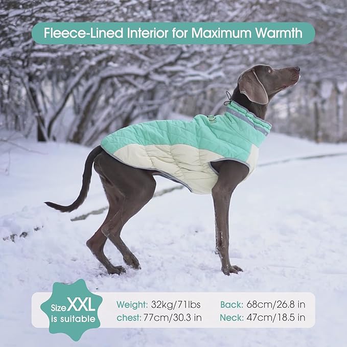 FUAMEY Dog Coat for Large Dogs,Waterproof Dog Winter Jacket with Harness Built in Puppy Cold Weather Coats Reflective Pet Vest with Zipper Warm Fleece Dogs Snowsuit Windproof Mint Green XL