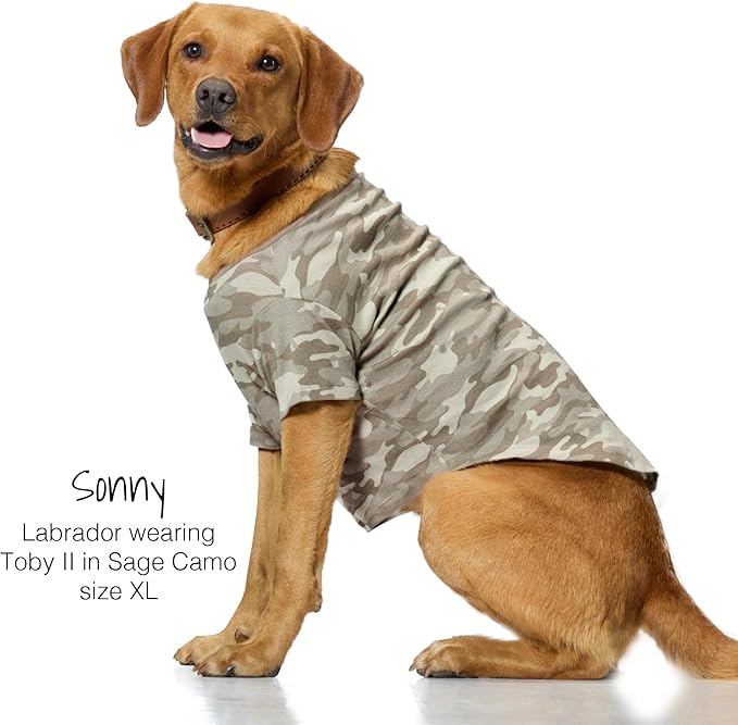 Toby II - The Perfect Tee, 3 Pack Short Sleeve Pet T-Shirt 100% Organic Cotton Tees Clothes for Small, Medium, Large Dogs, Sage Camo, X-Large (55-80 lbs)