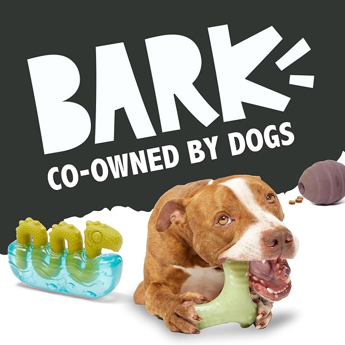 BarkBox Munchie The Bear Dog Toy - for Dogs up to 20 lbs - Small
