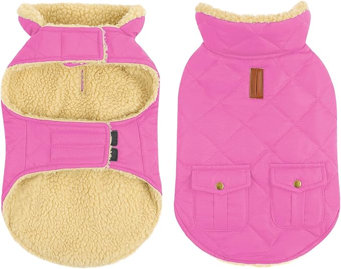 Queenmore Dog Winter Coat - Fleece Jacket, Waterproof Cold Weather Dog Clothes, Thick Warm Cotton Padding, Easy On Storage Pockets (Pink, X-Small)
