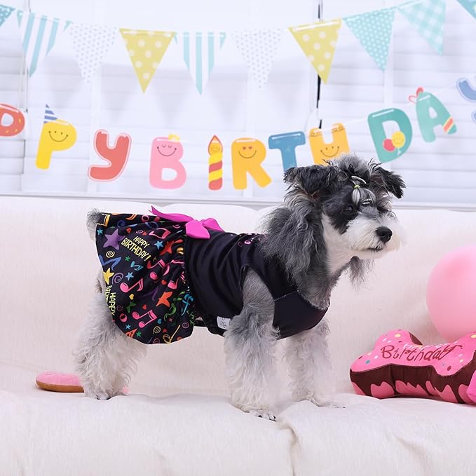 CuteBone Birthday Dog Dresses Velvet Holiday Small Dogs Clothes Onesie Pet Apparel Girl Puppy Skirt with Bow Hair Rope CVA50XXS-D