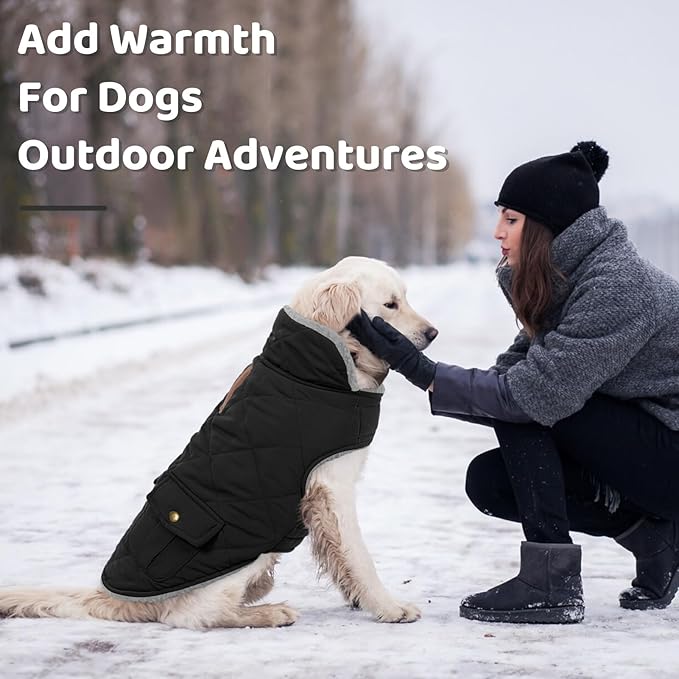 Queenmore Dog Winter Coat Warm Puffer Jacket Waterproof Plush Lining Thermal Cold Weather Vest for Small Medium Large Dogs, Windproof Easy On Pet Jacket Black M