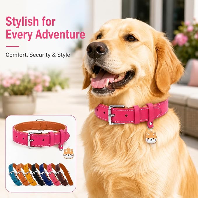 Genuine Leather Dog Collar, Soft Padded Leather Dog Collars with Airtag Holder Case for Small Medium Large X-Large Dogs,Comfort Heavy Duty Pet Collar with Durable Metal Buckle & D-Ring-Pink/S