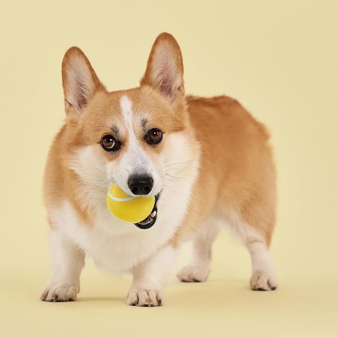 Playology Squeaky Chew Ball Dog Toy - Medium, Chicken Scent