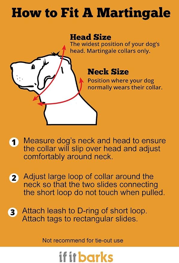 If It Barks 1" Martingale Collar with Quick Snap Release Buckle, Adjustable, USA Made, Small, Finley