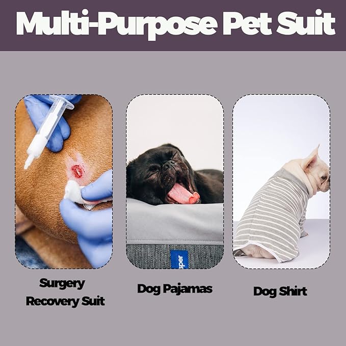 Dog Surgery Recovery Suit, Puppy Cat Onesie for Shedding Skin Disease Wound Protection, Medical Pet Surgical Suit w/Long Sleeve, Dog Pajamas (Grey, Large)