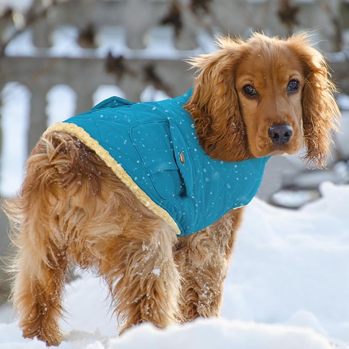 Queenmore Dog Winter Coat Warm Puffer Jacket Waterproof Plush Lining Thermal Cold Weather Vest for Small Medium Large Dogs, Windproof Easy On Pet Jacket Blue XS