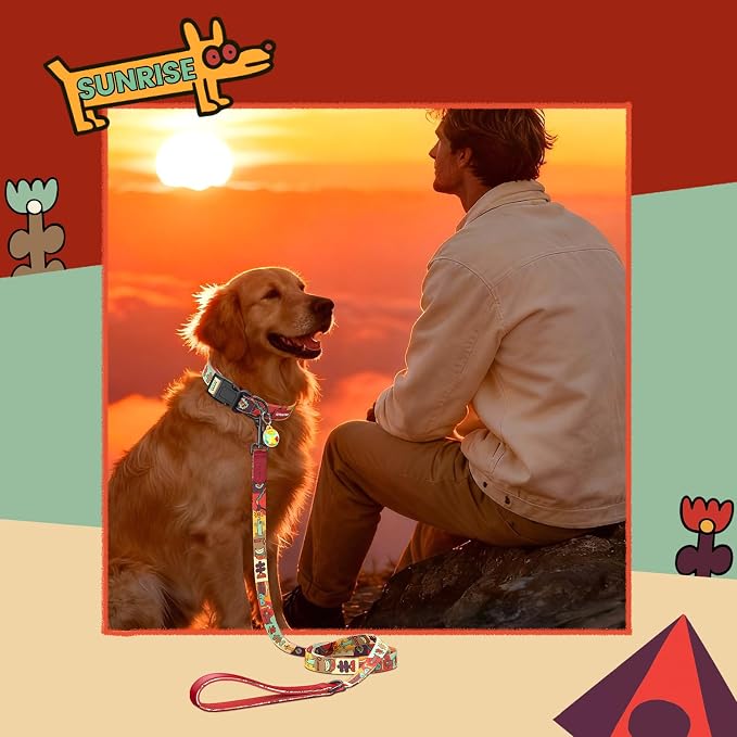 Dog Collar and Leash Set with QR ID Tag, 5 FT Leash, Red, M