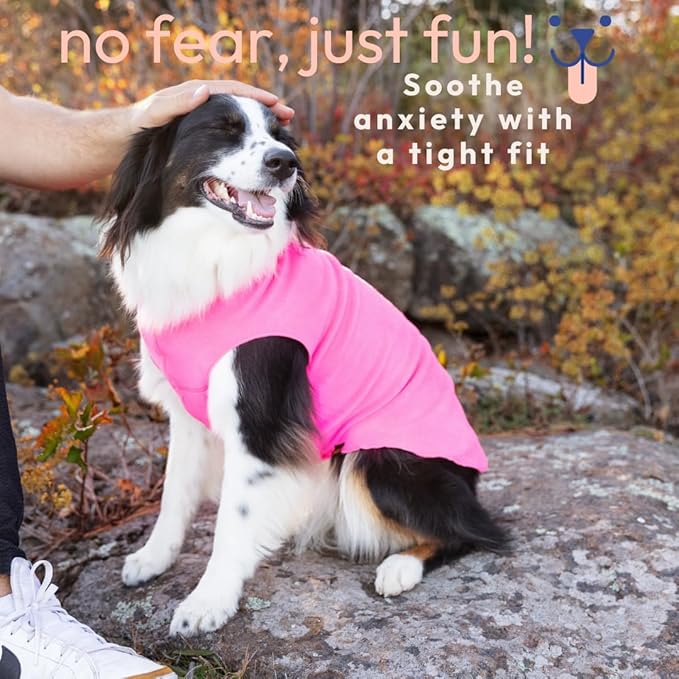 Goldpaw Stretchy Fleece Jacket for Small Dogs - Super Soft, Warm Dog Sweater - Pet Sweater Vest for Fall and Winter - Canine Clothes Made in The USA - Machine Washable - Charcoal - Size 20