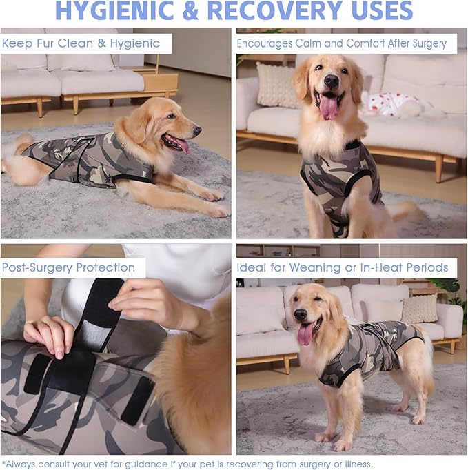PET Glam Recovery Suit for Dogs Cats, After Surgery, Alternative E-Collar Dog CAT. PET Shirt Breathable Abdominal Wounds, Neuter Cotton, Prevent Licking Onesie Surgical (Green, M)