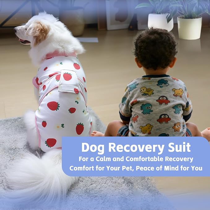 PET Glam Recovery Suit for Dogs Cats, After Surgery, Alternative E-Collar Dog CAT. PET Shirt Breathable Abdominal Wounds, Neuter Cotton, Prevent Licking Onesie Surgical (RED, M)